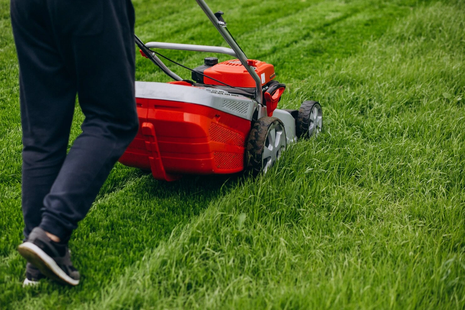 Tonte de pelouse professionnelle pour un gazon propre et bien entretenu toute l’année