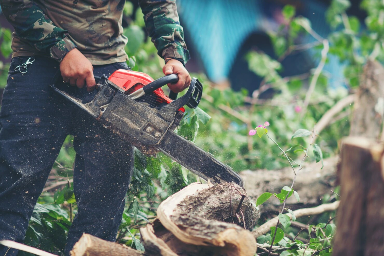 Élagage, étêtage et abattage d’arbres pour sécuriser les espaces extérieurs