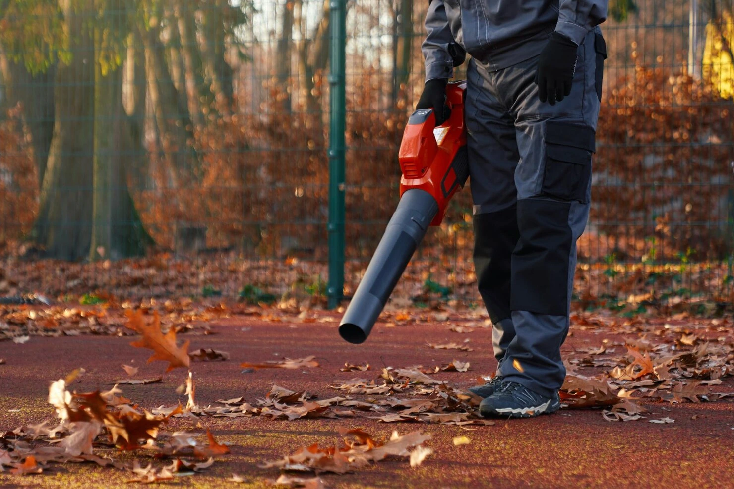 Évacuation des déchets verts après travaux d’élagage et d’entretien de jardin